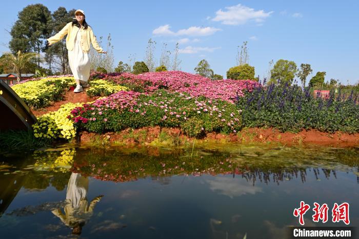 昆明莫奈花园春景如画醉游人