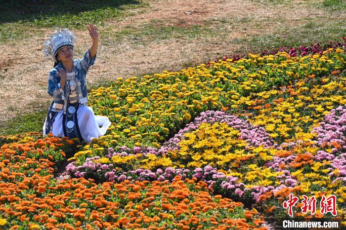 昆明莫奈花园春景如画醉游人