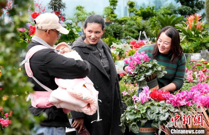 西藏拉萨：藏历新年临近 市民花市选年货