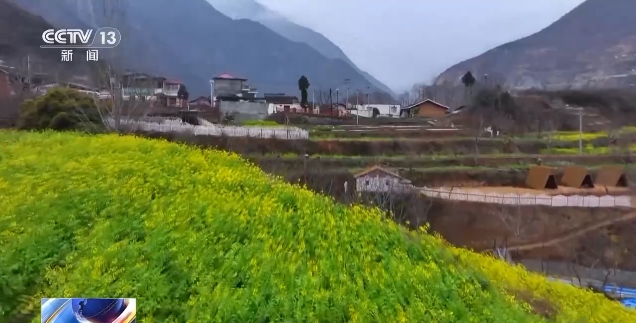 赏油菜花、品山野菜……乡村旅游带动玉垒坪村就业增收