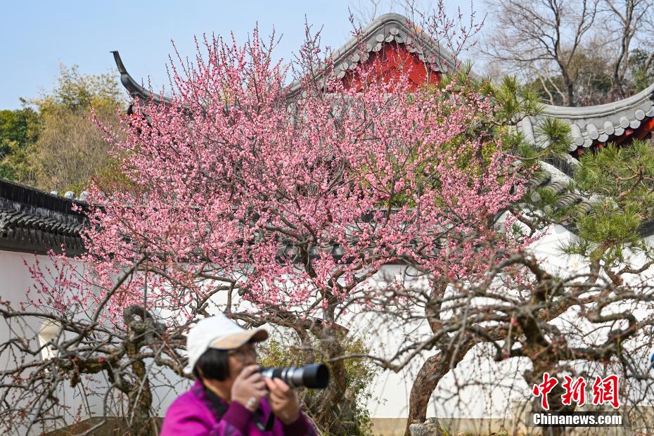 南京古典园林春色如许展恬静之美