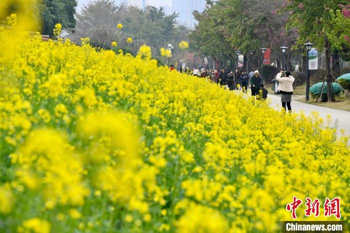 春暖花开 福州民众踏春赏花