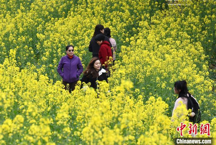 春暖花开 福州民众踏春赏花