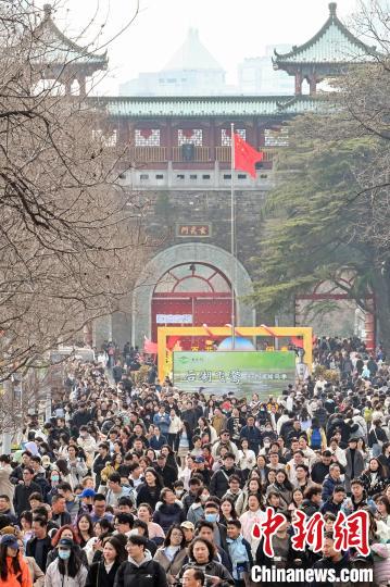 古城南京春暖花开 民众踏青赏景正当时