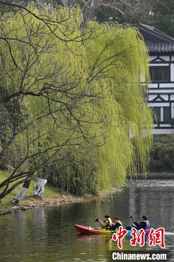 古城南京春暖花开 民众踏青赏景正当时