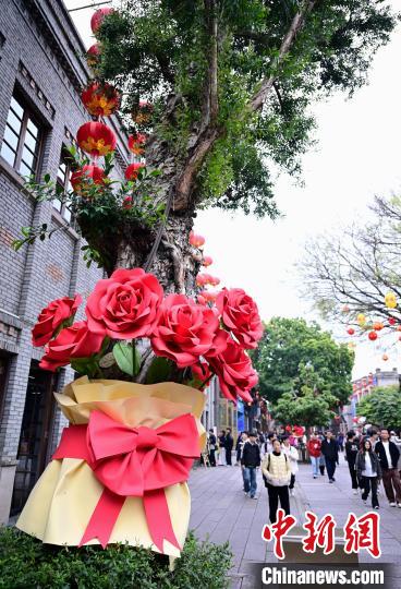 福州：绿树生“花”成一景