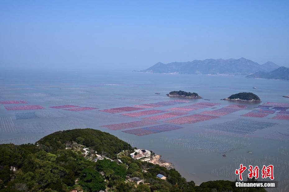 福建霞浦：如画滩涂“生金”