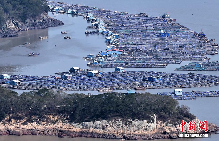 福建霞浦：如画滩涂“生金”