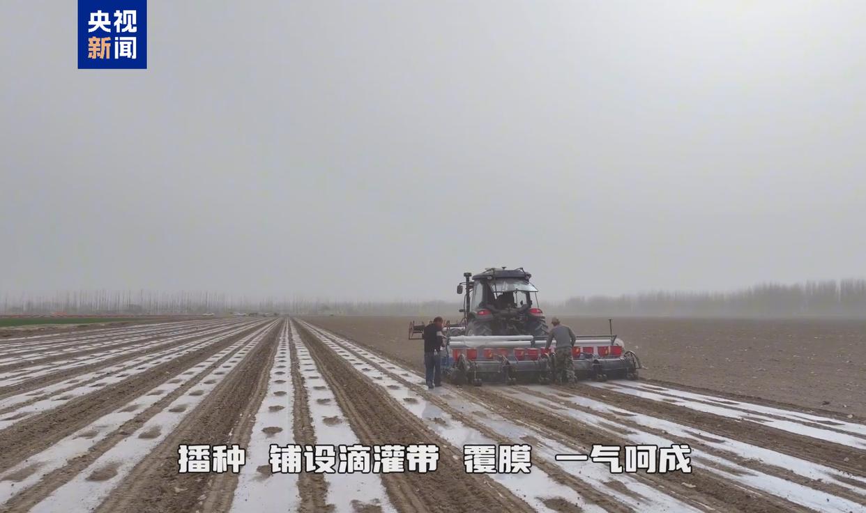 智慧农机“打头阵” 新疆棉花播种啦
