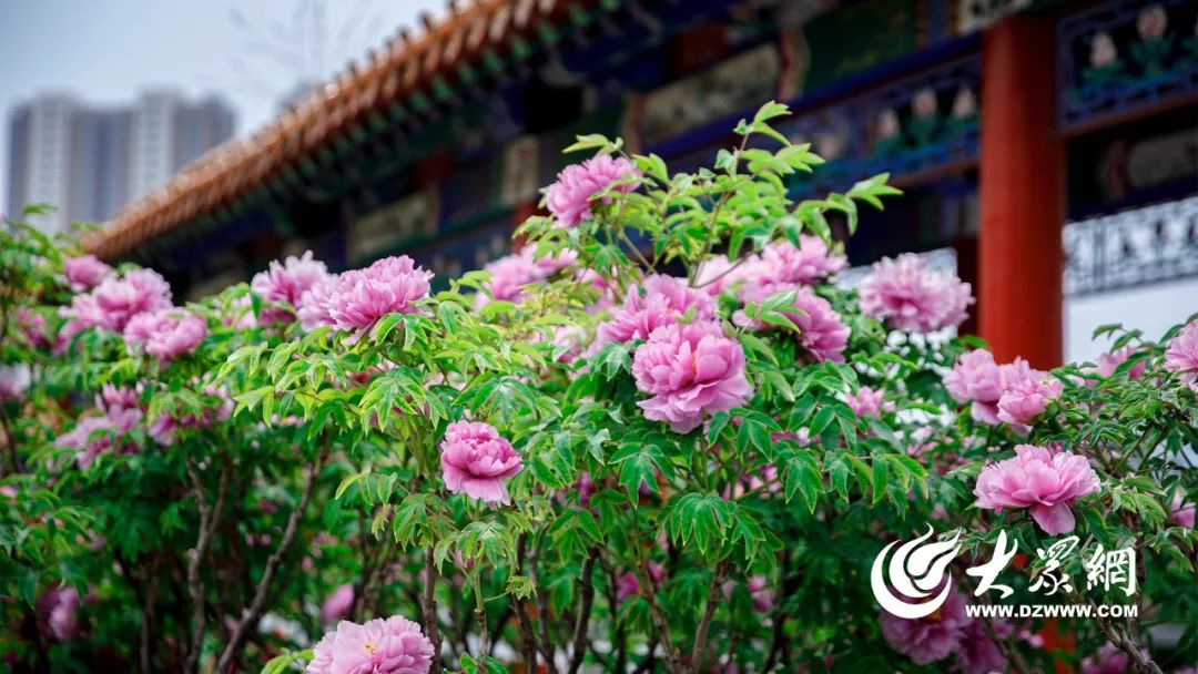 菏泽，向全世界发出邀请！