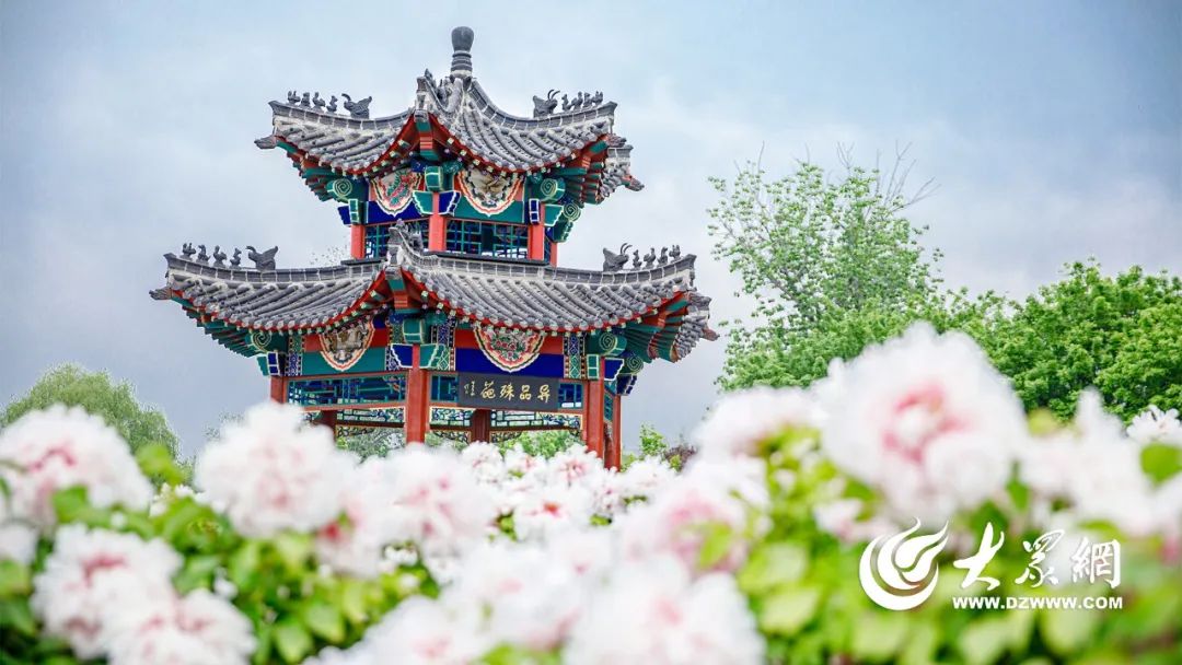 菏泽，向全世界发出邀请！