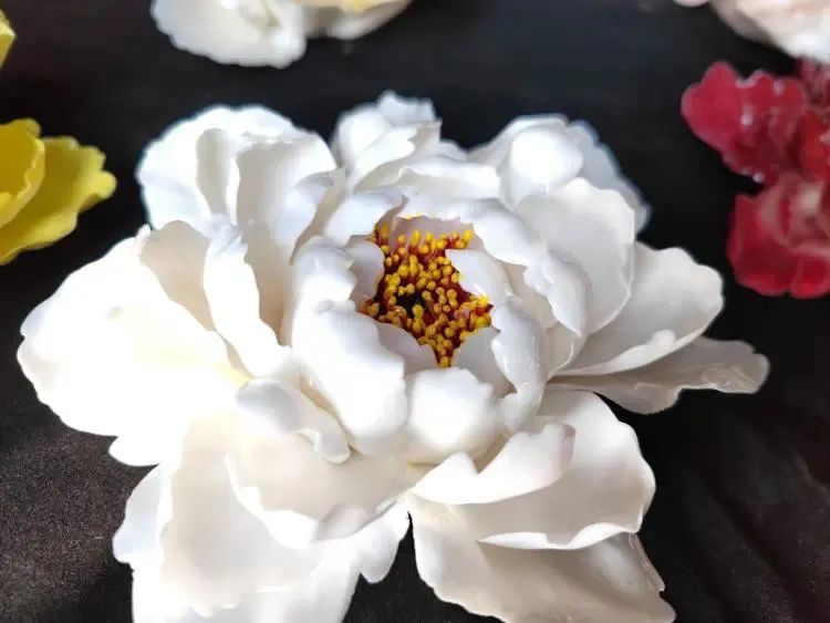菏泽，向全世界发出邀请！