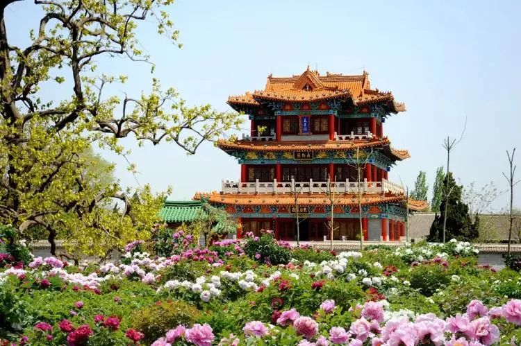 第34届菏泽国际牡丹文化旅游节盛大开幕