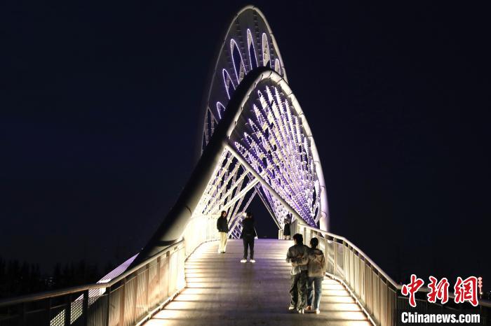 陕西咸阳平沙落雁桥夜景如画