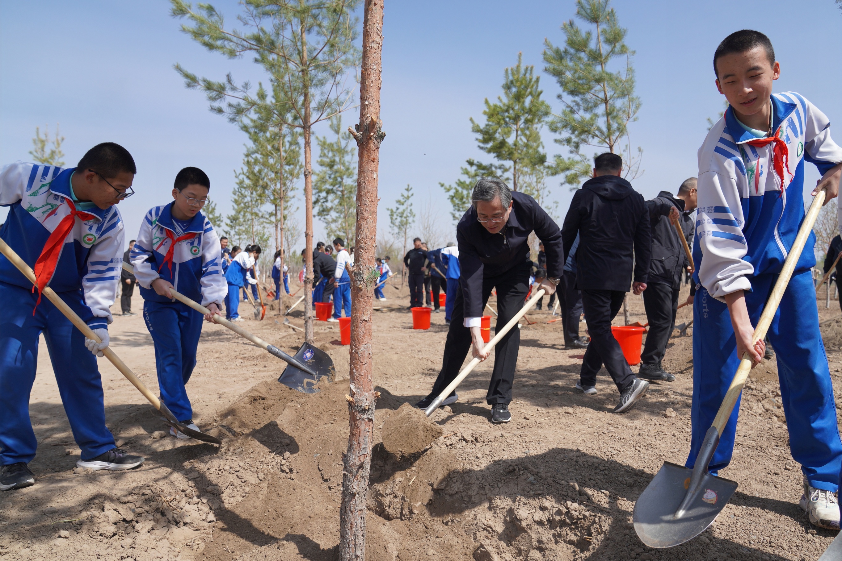 兵团领导集体参加义务植树活动