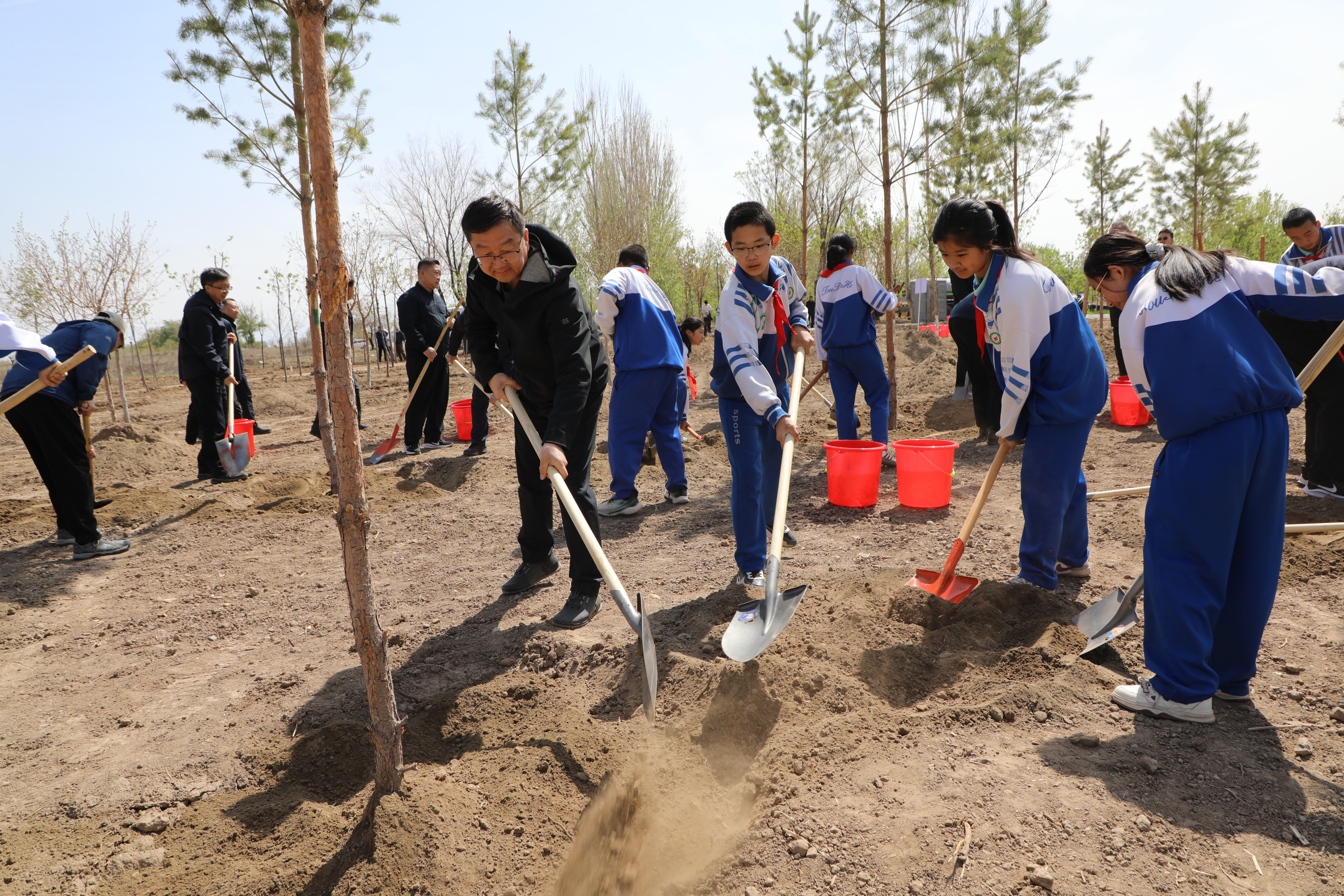 兵团领导集体参加义务植树活动