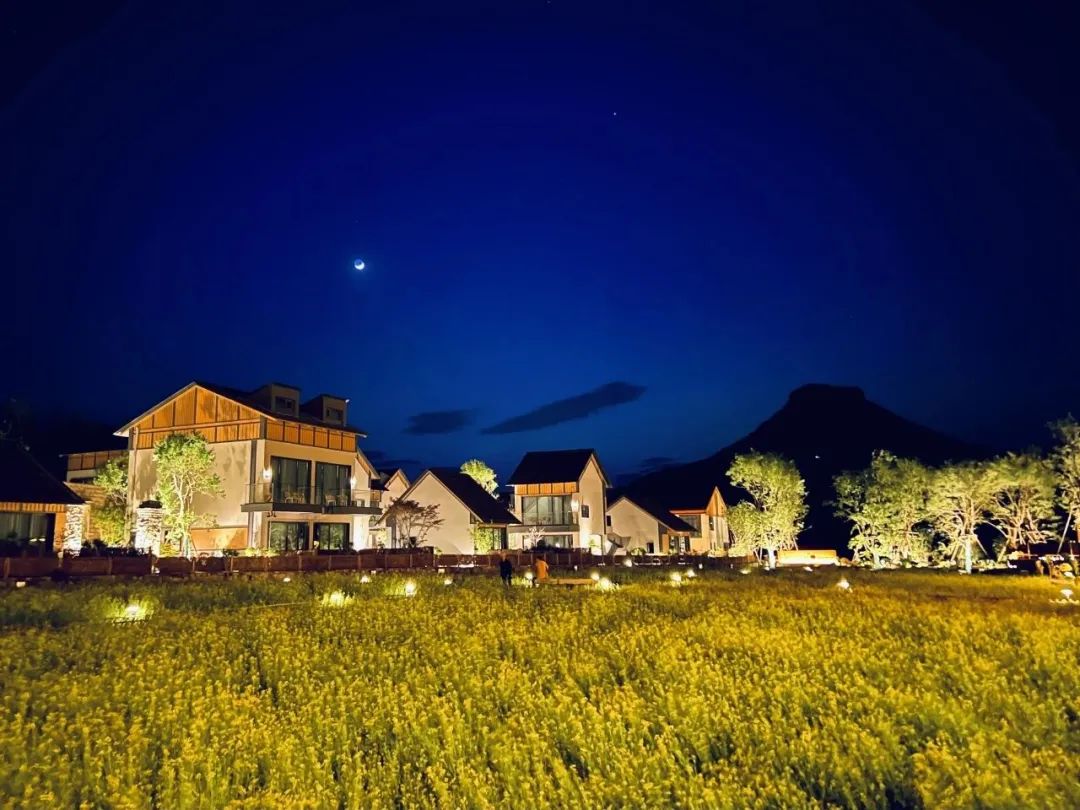 跟着文旅大会游山东｜从老巷到海畔，开启文艺打卡之旅