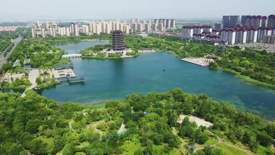 跟着文旅大会游山东｜从老巷到海畔，开启文艺打卡之旅