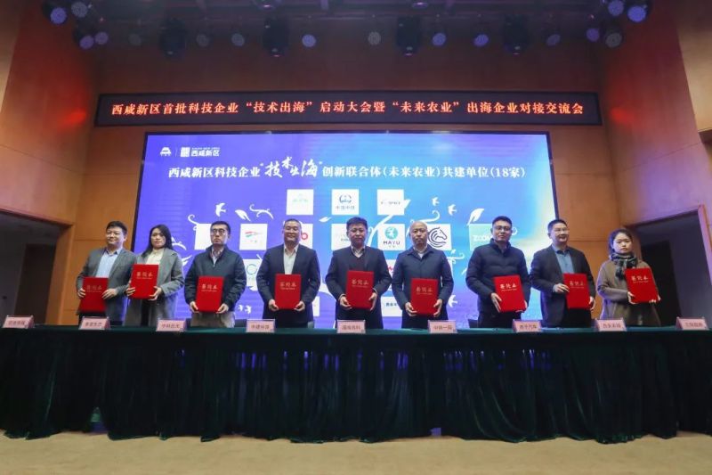 临空经济为笔 绘就崭新传奇