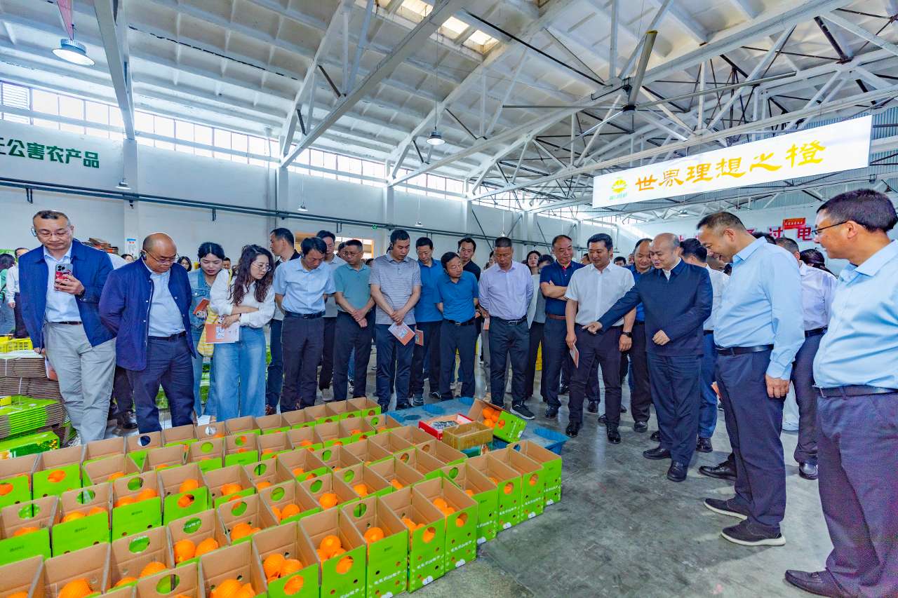 2025年湖北省农村寄递物流助推农产品上行工作培训班在湖北秭归举行