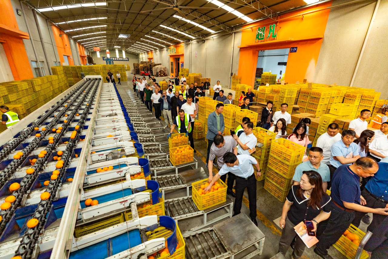 2025年湖北省农村寄递物流助推农产品上行工作培训班在湖北秭归举行