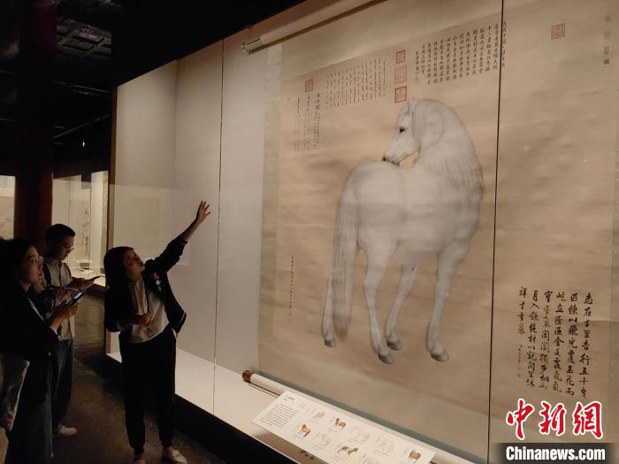 《写生珍禽图》领衔 故宫一展紫禁城里的“神奇动物”