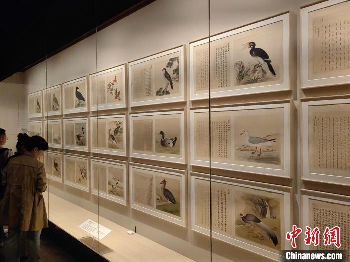 《写生珍禽图》领衔 故宫一展紫禁城里的“神奇动物”