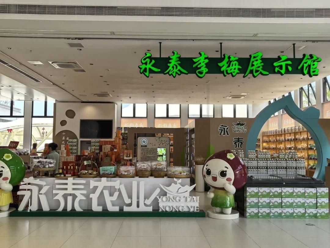 古筝奏响闽台情 文化赋能高速路——“乐在旅途 海丝高速音乐汇”青云山服务区专场精彩开演