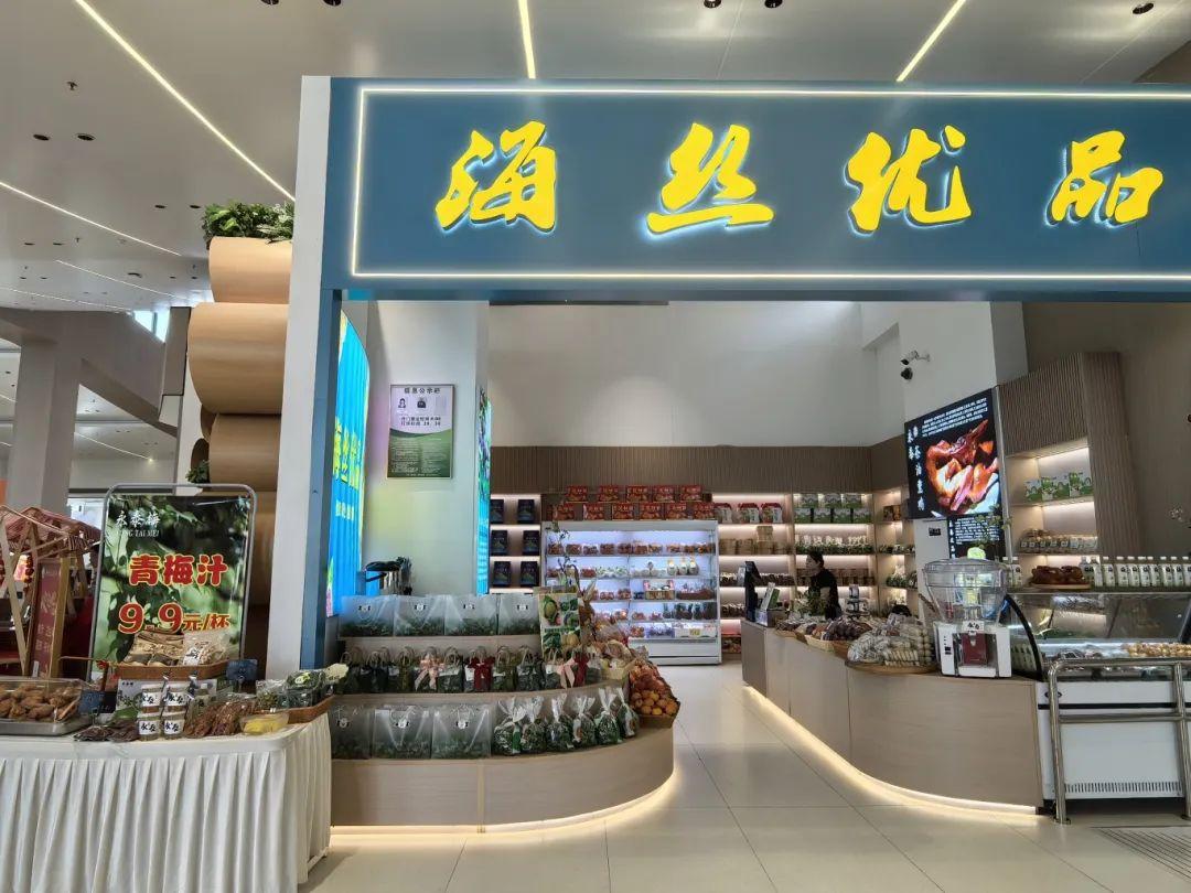 古筝奏响闽台情 文化赋能高速路——“乐在旅途 海丝高速音乐汇”青云山服务区专场精彩开演