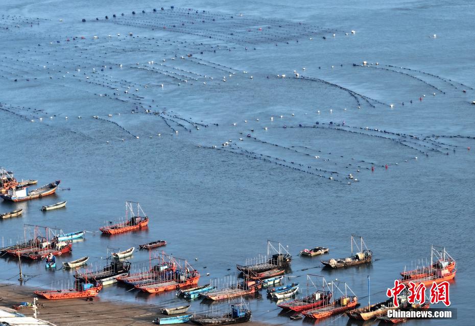 福建福清：“海上田园”如画