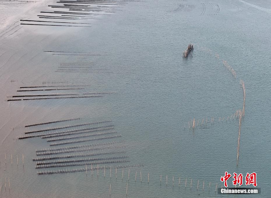 福建福清：“海上田园”如画