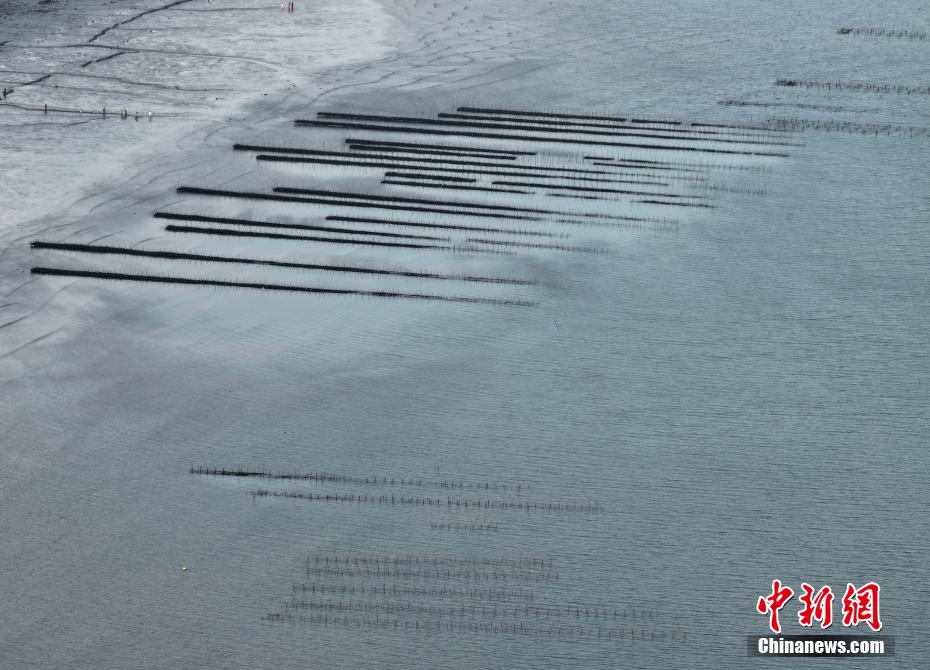 福建福清：“海上田园”如画