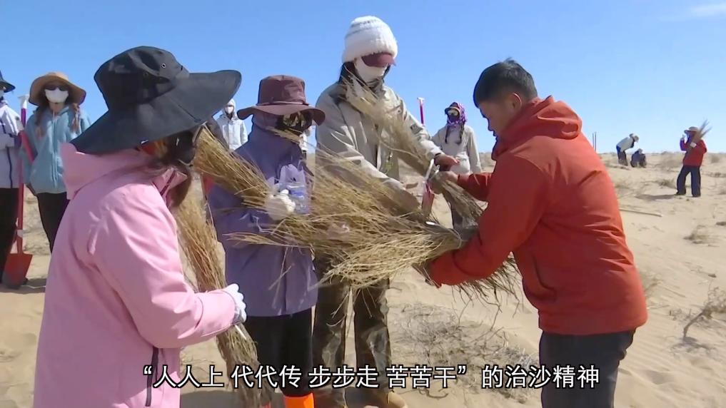 沙海织绿 “三北”工程筑牢河西走廊生态屏障