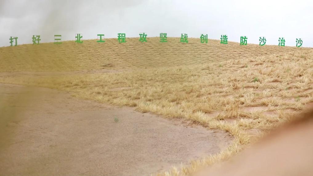 沙海织绿 “三北”工程筑牢河西走廊生态屏障
