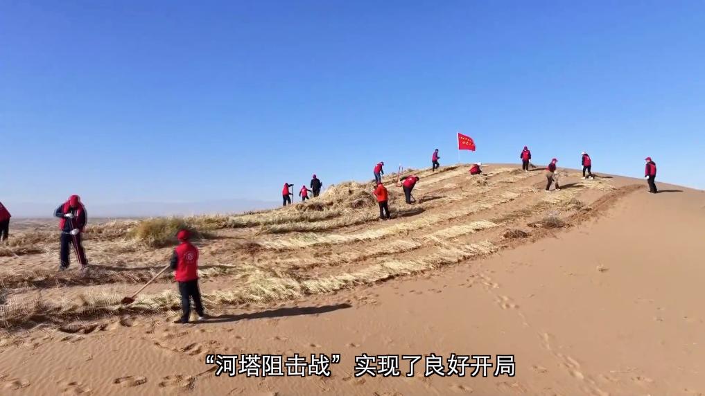 沙海织绿 “三北”工程筑牢河西走廊生态屏障