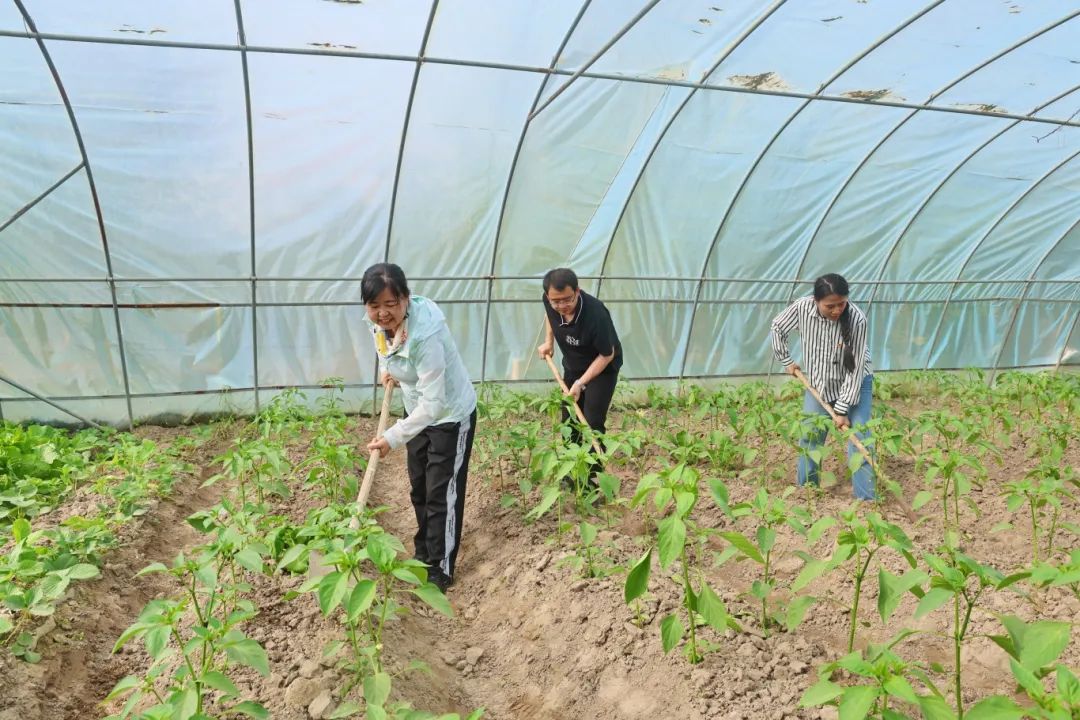 微光成炬，致敬每一份坚守