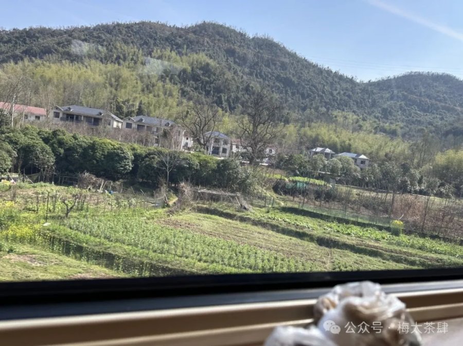 阳春三月，在深港相聚的我们