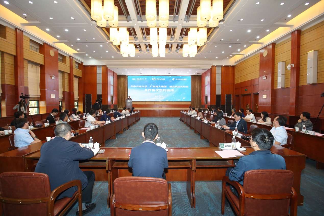 鱼好吃，刺难挑？学界业界携手推动无刺鱼产业化