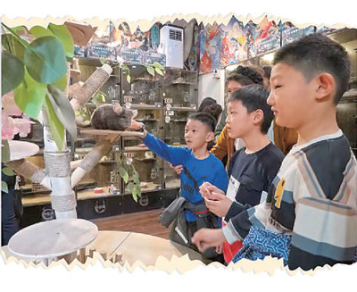吉林长春市红旗街——老商街“圈粉”年轻人（消费视窗·一条街一座城）