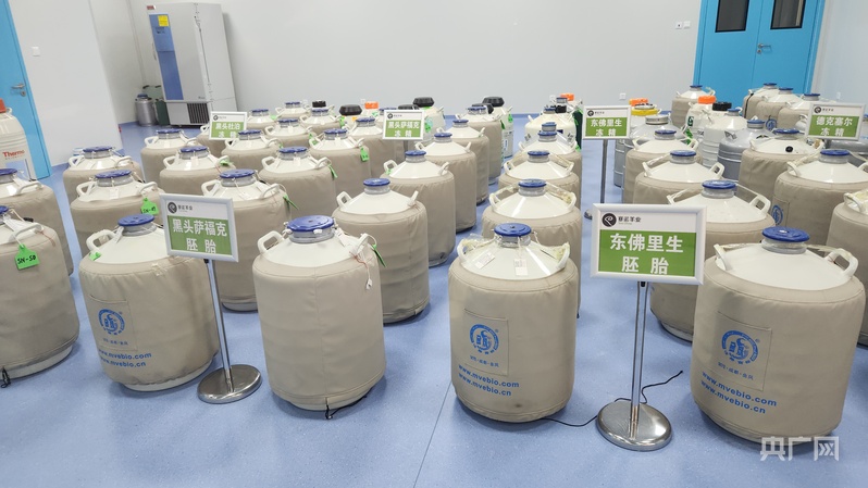 智汇草原·筑梦北疆丨写在四子王旗大地的“帮扶答卷”