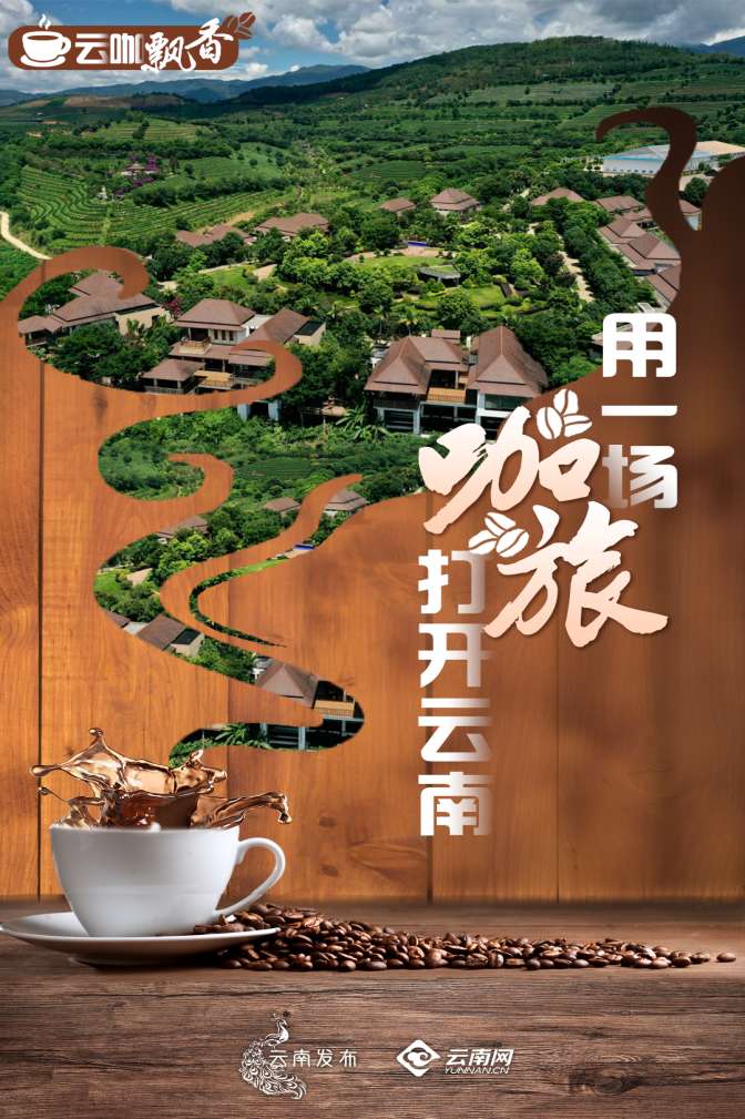 漫步咖啡新生态：2025 虹桥国际咖啡文化节启幕