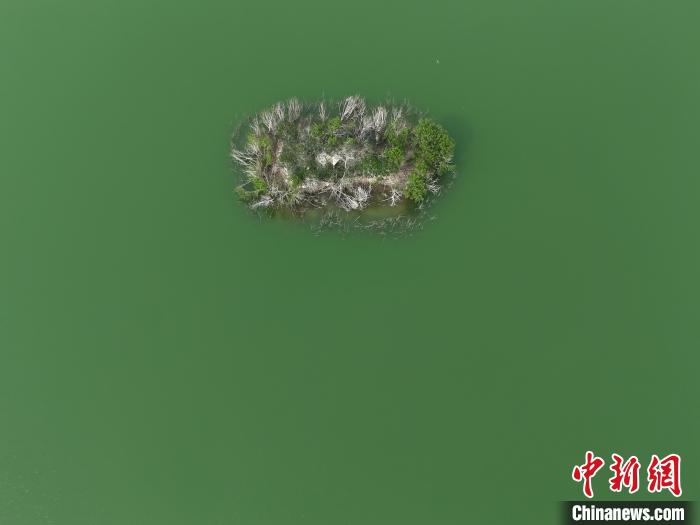 河南郑州：雁鸣湖景美如画