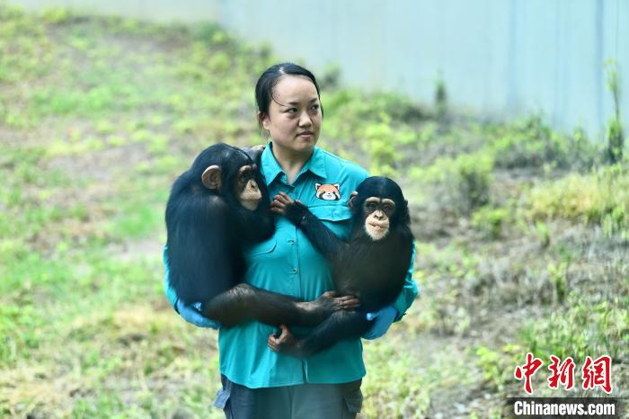 合肥野生动物园萌宠动物尽享初夏时光