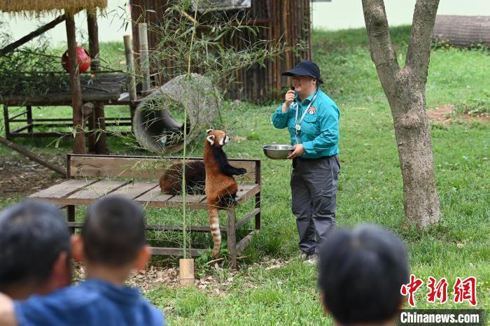 合肥野生动物园萌宠动物尽享初夏时光