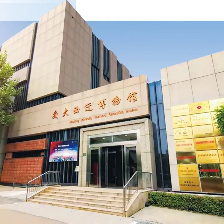 丝路起点上的馆藏智慧！陕西七所高校带你探秘→