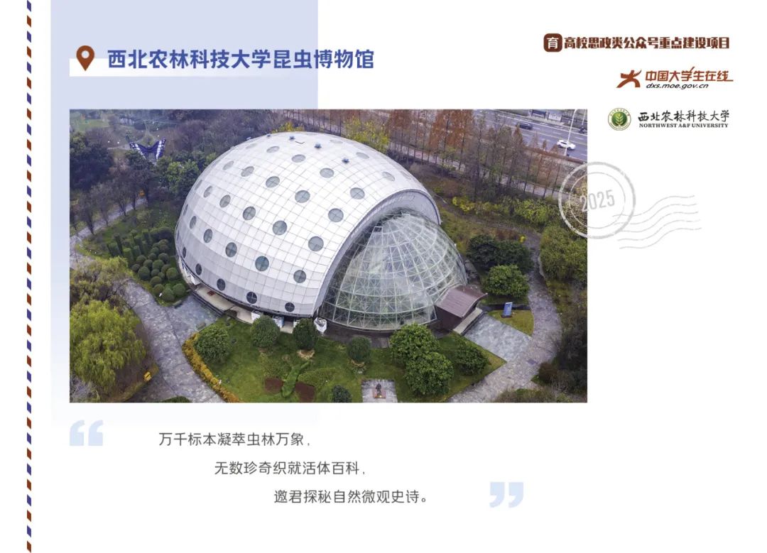 丝路起点上的馆藏智慧！陕西七所高校带你探秘→