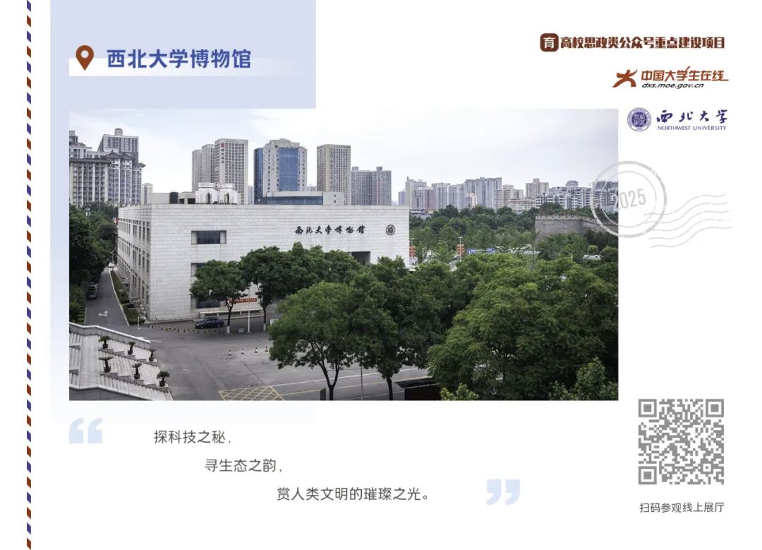 丝路起点上的馆藏智慧！陕西七所高校带你探秘→