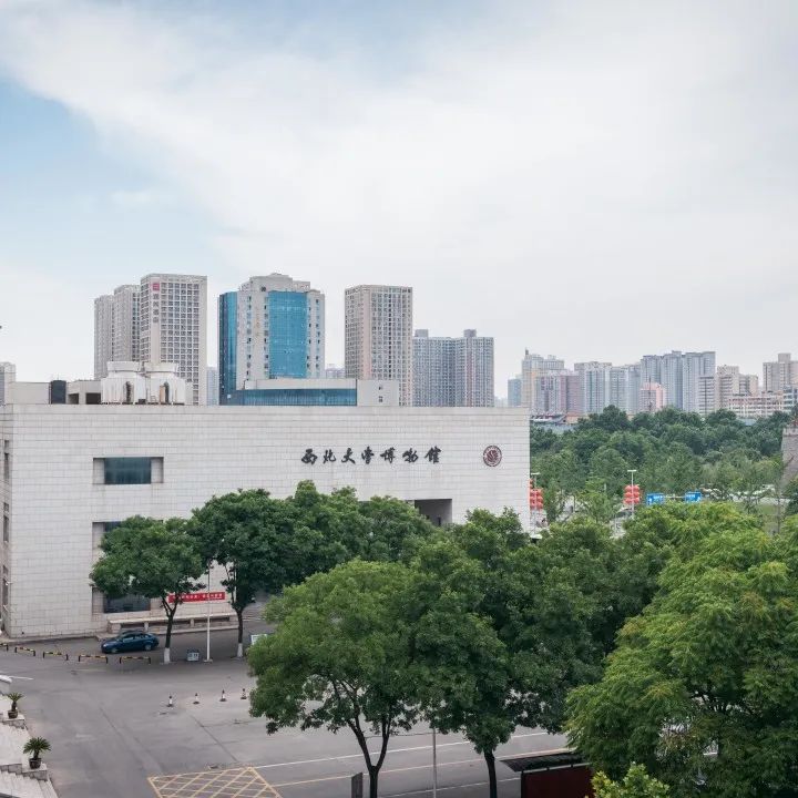 丝路起点上的馆藏智慧！陕西七所高校带你探秘→