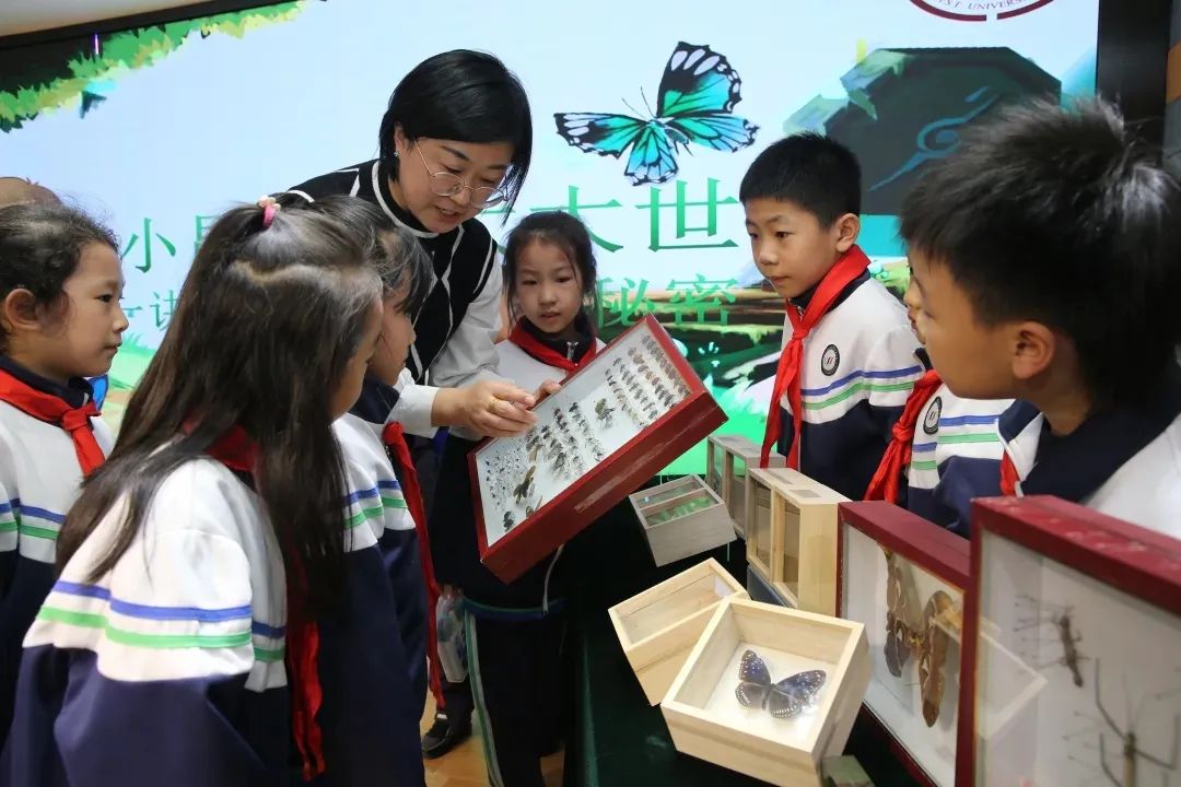 丝路起点上的馆藏智慧！陕西七所高校带你探秘→