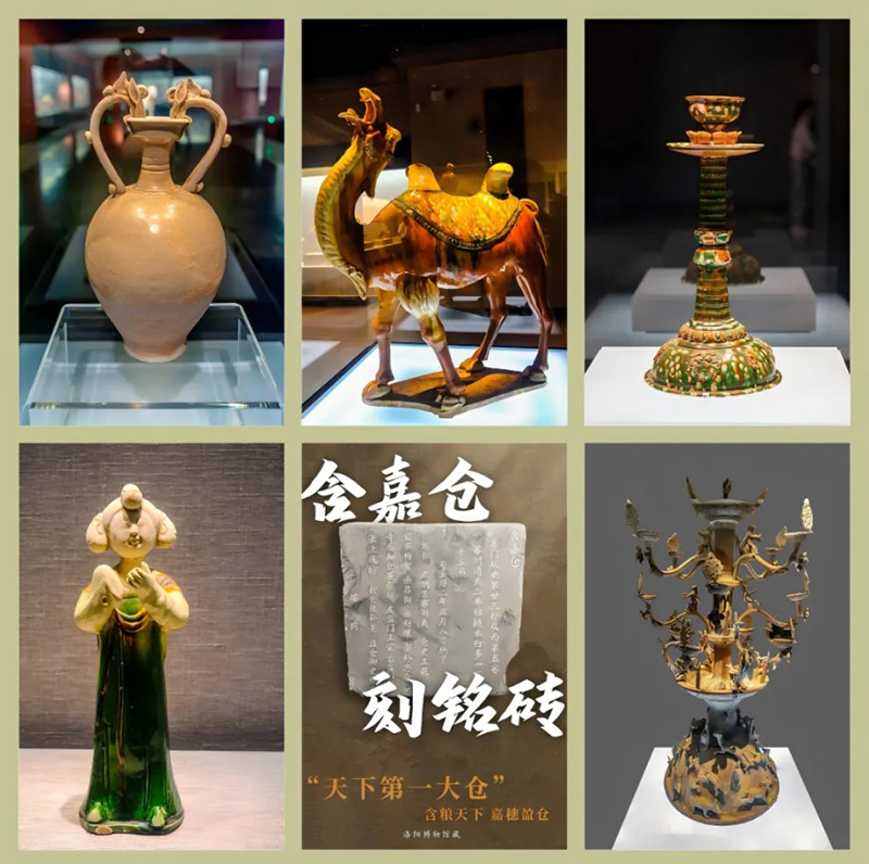 文化中国行｜如果我写河南